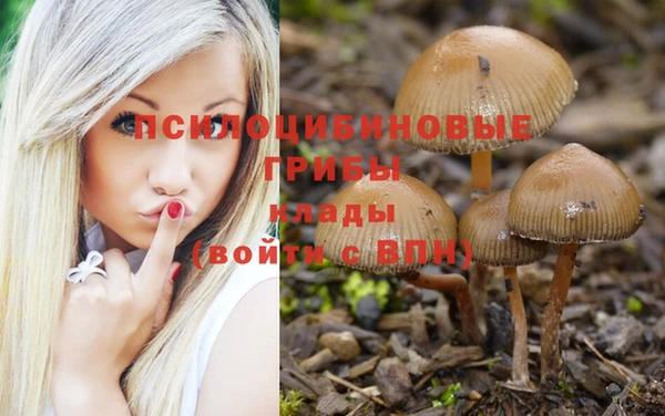 PSILOCYBIN Беломорск