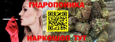 гидра Обнинск