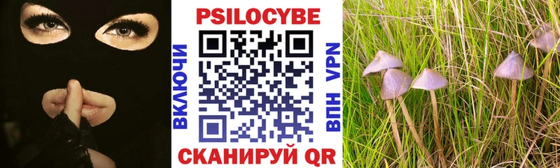 Псилоцибиновые грибы Psilocybe  Среднеуральск 