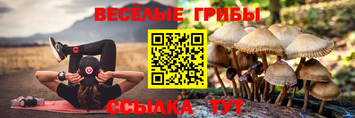 Псилоцибиновые грибы прущие грибы  Псилоцибиновые грибы Magic Shrooms  Вход с VPN  Среднеуральск 